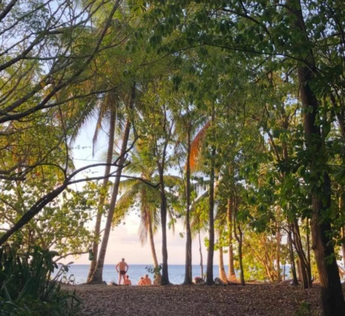 Katalea - Blue Dream, Plage, Piscine, Bar Grand-Bourg  Grand-Bourg (Marie Galante)