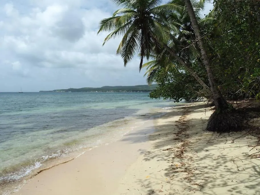 Blue Dream Touloukaera Serenity - Residence Plage & Piscine Grand-Bourg  Grand-Bourg (Marie Galante)