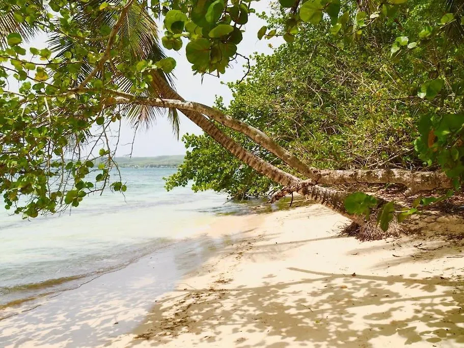Appartement Blue Dream Touloukaera Serenity - Residence Plage & Piscine Grand-Bourg  Guadeloupe